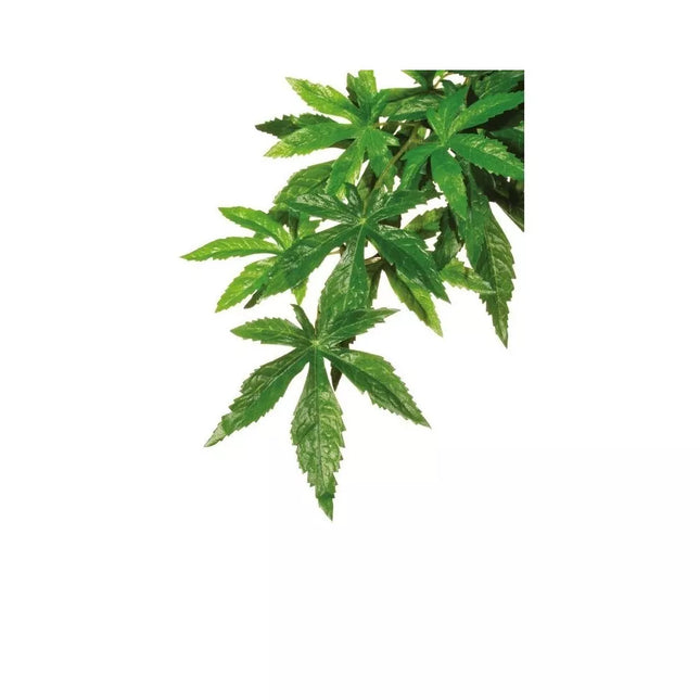 Exoterra Abutilon Artificial Plant for Terrariums, S