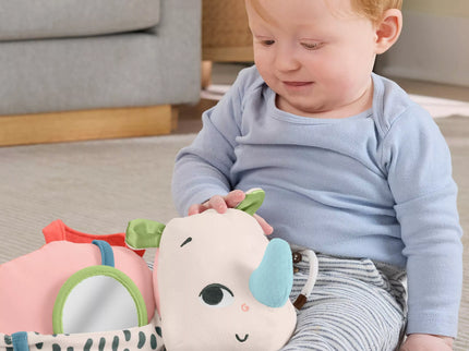 FISHER-PRICE Developmental Toy 	– Rhinoceros (HYR55)