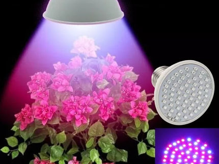 5W Augalų auginimo lempa