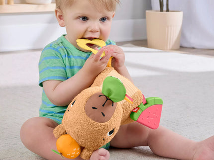 FISHER-PRICE Developmental Toy – Capybara (HYR54)