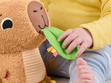 FISHER-PRICE Developmental Toy – Capybara (HYR54)