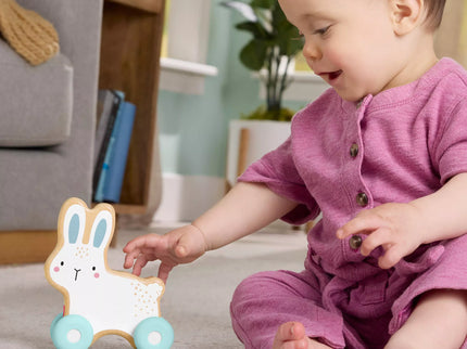 FISHER-PRICE Rolling Wooden Toy - Bunny (JDM52)