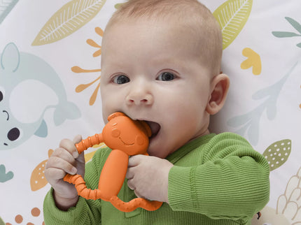FISHER-PRICE Teether – Colorful Friend (JFJ95)