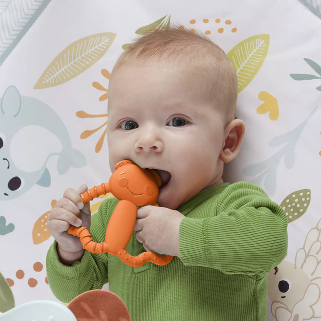 FISHER-PRICE Teether – Colorful Friend (JFJ95)