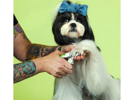 Andis žirklutės gyvūnų nagams kirpti