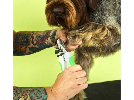 Andis žirklutės gyvūnų nagams kirpti