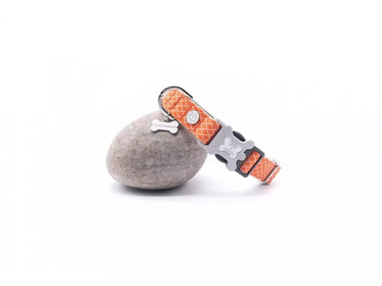 Orange Collar with Ornament, Size M