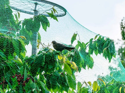 Apsauginis Tinklas Nuo Paukščių, 5 X 10 M