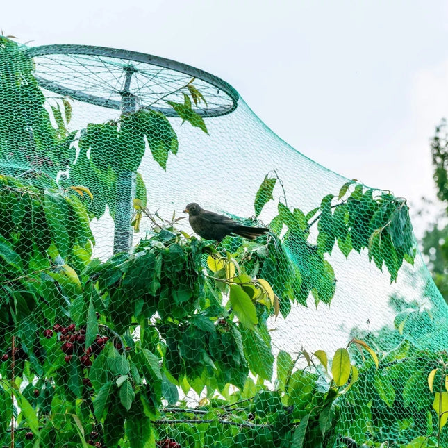Bird Protection Net, 5 x 10 M