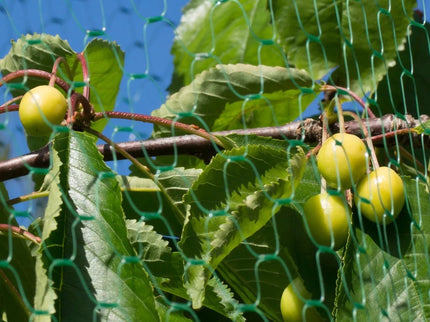 Apsauginis Tinklas Nuo Paukščių, 8 X 8 M