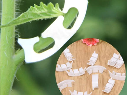 Plant Branch Clips, 50 Pcs.