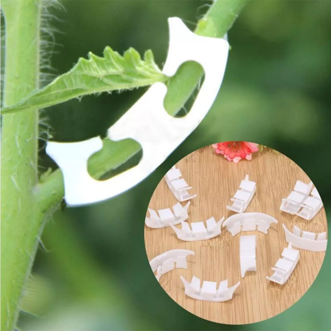 Plant Branch Clips, 50 Pcs.