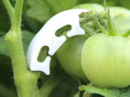 Plant Branch Clips, 50 Pcs.