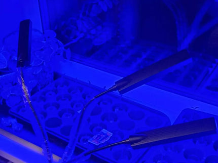 Augalų Auginimo Lempa 315LED