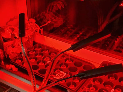 Augalų Auginimo Lempa 315LED