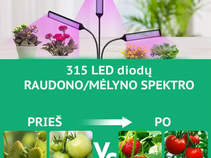 Augalų Auginimo Lempa 315LED