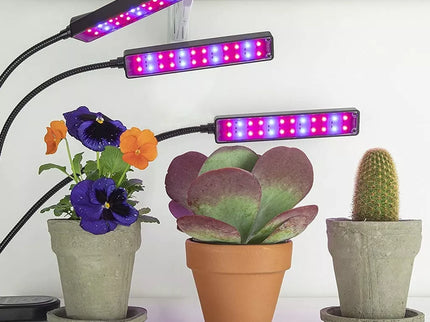 Augalų Auginimo Lempa 315LED