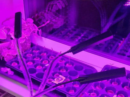 Augalų Auginimo Lempa 315LED