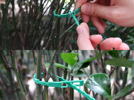 Plant Securing Straps