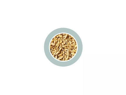 Avena Decorticata Hulled Oats 1kg