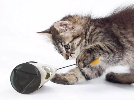 Balansinis žaislas katei