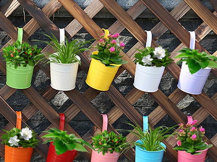 Balkono vazonėlis (geltonas)