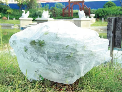 White Agrotextile 1.6 x 10 m Spring