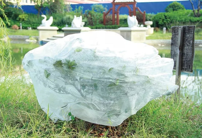 Balta agrotekstilė 1,6 x 10 m pavasaris