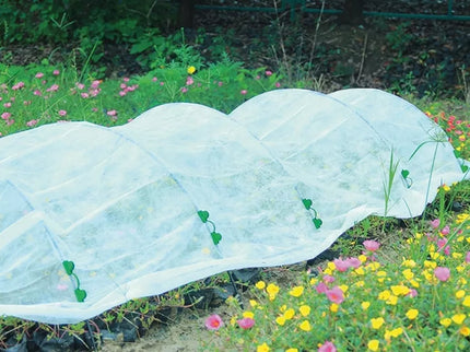 White Agrotextile 1.6 x 10 m Spring