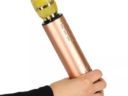 Belaidis karaokės mikrofonas K3