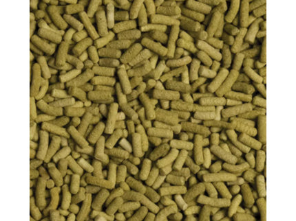 Tropical Biorept L Food for Terrestrial Turtles 500 ml