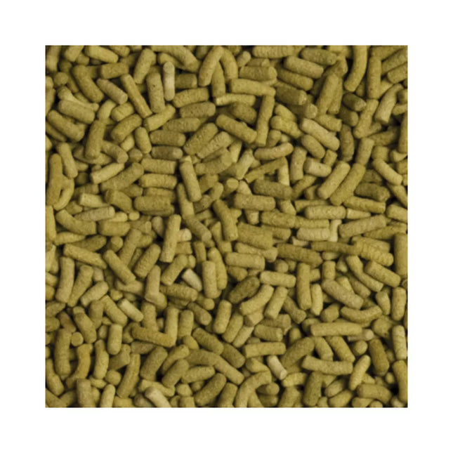 Tropical Biorept L Food for Terrestrial Turtles 500 ml