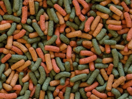 Tropical Biorept W Water Turtle Food 1000 ml