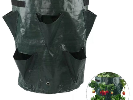 Braškių sodinimo maišas