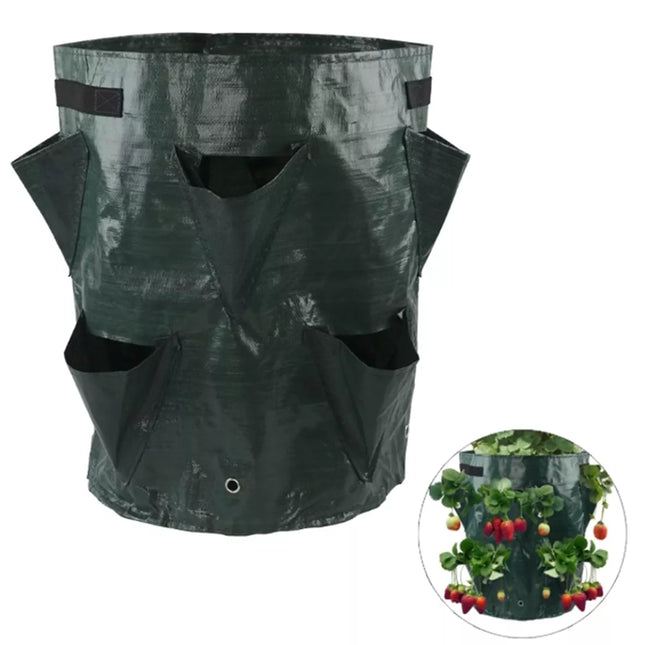 Braškių sodinimo maišas