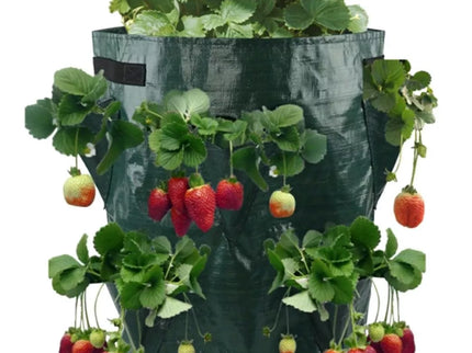 Braškių sodinimo maišas