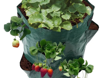 Braškių sodinimo maišas