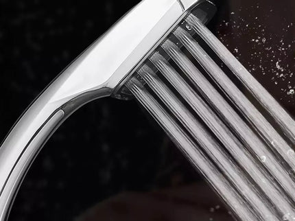 Chromuota dušo galvutė