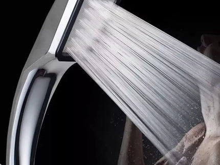 Chromuota dušo galvutė