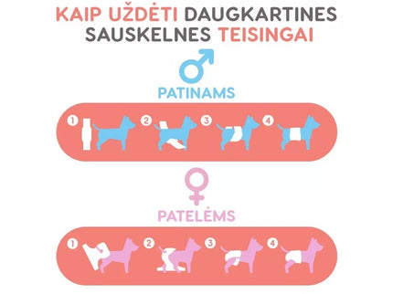 Reusable Male Dog Diapers, Size S, Mint Color