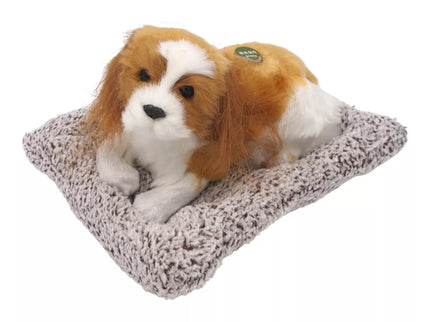 Lojantis šuniukas ant minkšto gultuko