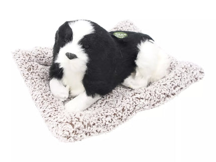 Lojantis šuniukas ant minkšto gultuko