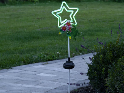 Decorative solar light 'Star with frog'