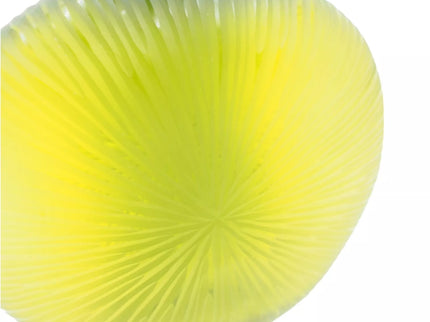 Dekoratyvinė stiklo vaza, 24×22 cm