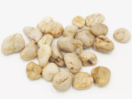 Decorative Pebbles 24 pcs