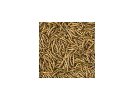 Dried mealworm larvae, 100 ml