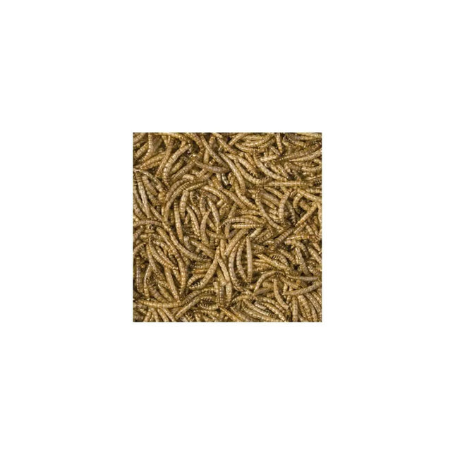 Dried mealworm larvae, 100 ml