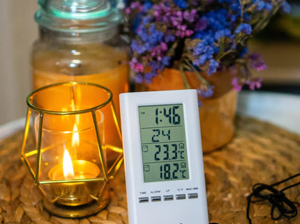 Elektrinis termometras