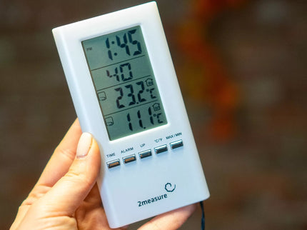 Elektrinis termometras