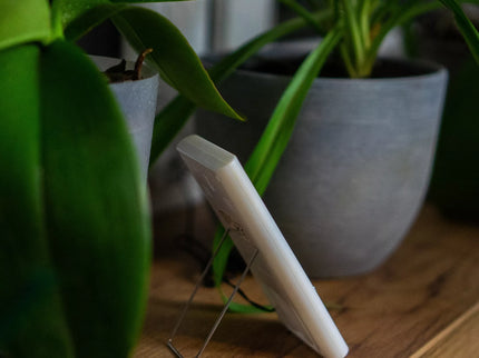 Elektrinis termometras